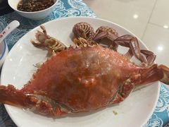 -北塘海鲜·天津菜(大光明桥旗舰店)