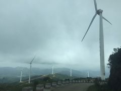 -盐洲岛