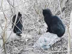 -鬼笑石后山停车场