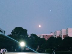 -江西科技学院