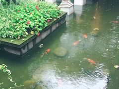 -印象泰和园(望丛西路店)