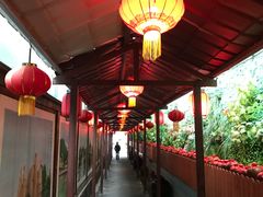 -窄巷子陕菜馆·地道陕西菜(粉巷店)