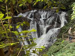 -莫里热带雨林景区