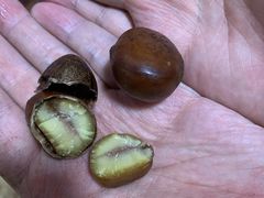 -栗满秋(燕丰西坝河店)