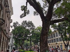 -星巴克臻选(广州沙面店)