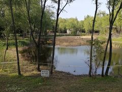 -东郊湿地公园