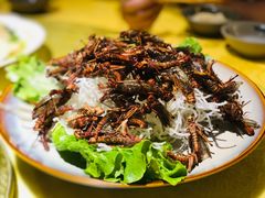 蝗虫-田园印象·成都土菜院子(华阳店)