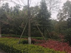 -邓小平故里