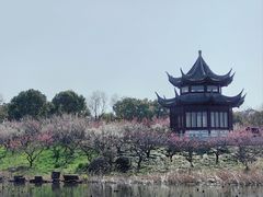 -上海海湾国家森林公园