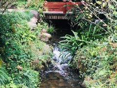 -中国茶叶博物馆(双峰馆区)