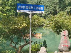 -灵栖洞天