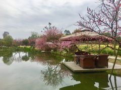 -洪湖家庭农场·团建·露营·会议