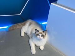 -零纪元VR体验馆·桌游(黄浦店)