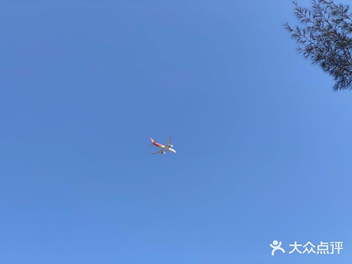 宝安西湾红树林湿地公园图片