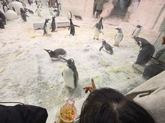 -大连圣亚海洋世界