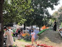 -HERRE·FARM 赫尔露营农场·团建聚会包场