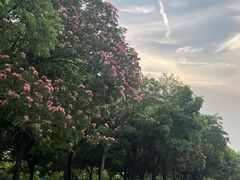 -武汉两江游览·夜游长江(汉口粤汉码头)