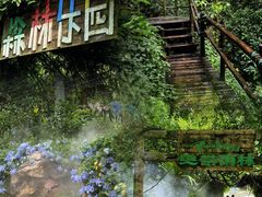 -青青世界