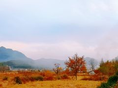 -塔川景区