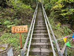-茅兰沟国家森林公园