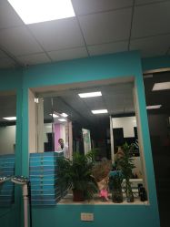 -斐尔国际皮肤管理中心