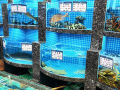 -白玉兰小吃(新村路店)