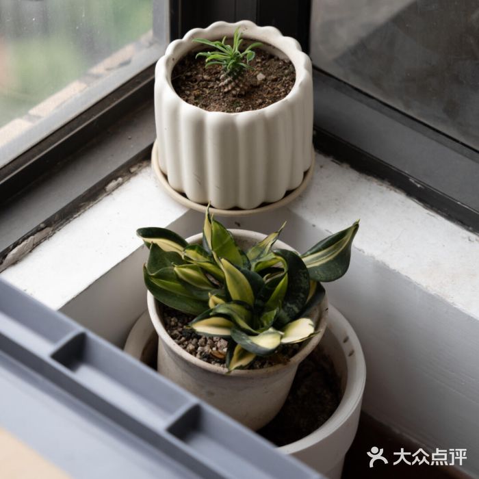 纽巷咖啡 SOFTFOCUS COFFEE(锦和巴黎时韵店)图片