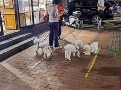 -健康路夜市