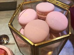 -新发展亚太JW万豪酒店·福苑咖啡厅