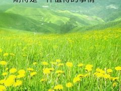 -南京环北服装批发市场