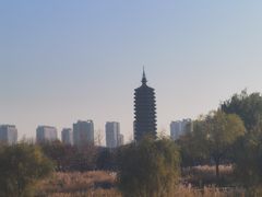 -西海子公园