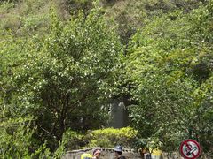 -宁波五龙潭景区