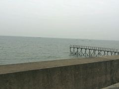 android_upload_pic-北海金海湾红树林生态旅游区