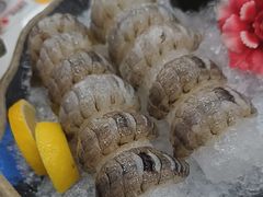 瀨尿蝦刺身-嘉升大排档(番禺总店)