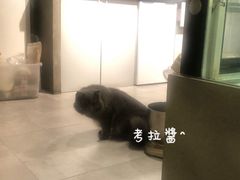 -塔拉苏咖啡(中信丹阳花园店)
