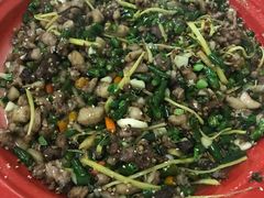 -东吴霸王兔(松青路店)