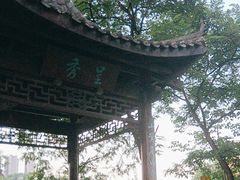 -重庆彩云湖湿地公园