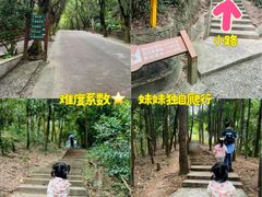 -滴水岩森林公园