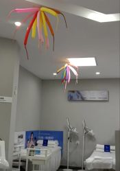 -蕾特恩专业祛痘国际连锁