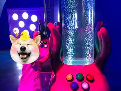 -沈阳海洋探索中心