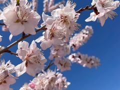 -白水寺森林公园