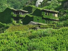 -枸杞岛