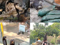 -灵玲国际马戏城
