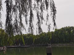 -黛秀湖公园