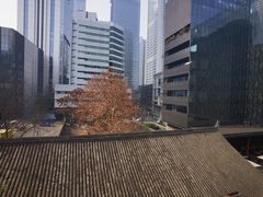 -成都博舍酒店