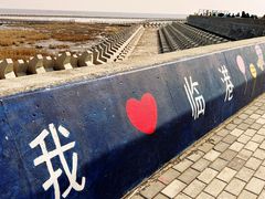 -南汇嘴观海公园