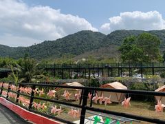 -海南槟榔谷黎苗文化旅游区