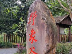 -野象谷景区