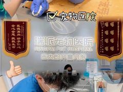 -瑞派新吉太郎宠物医院·重症转诊中心·泌尿道(嘉禾望岗院)