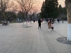 -古城公园